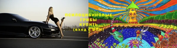 Альфа ПВП Переславль-Залесский