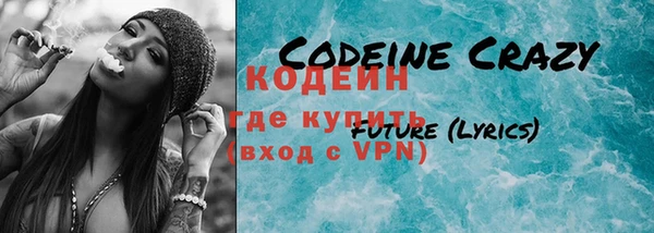 шишки Гусиноозёрск