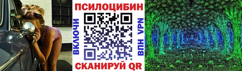 ссылка на мегу ссылки  Ессентуки  Псилоцибиновые грибы Magic Shrooms  как найти закладки 