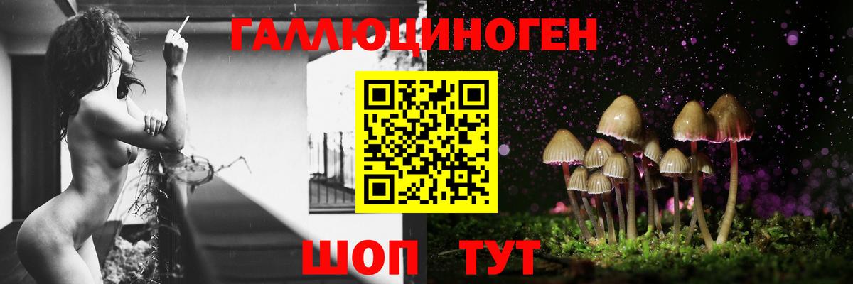 Ессентуки  Псилоцибиновые грибы мицелий  Вход с VPN 